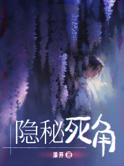 《隱秘死角》封面