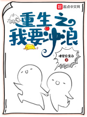 《重生之我要衝浪》封面