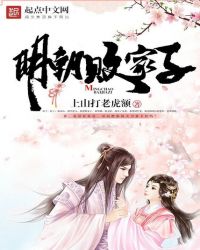 《明朝敗家子》封面