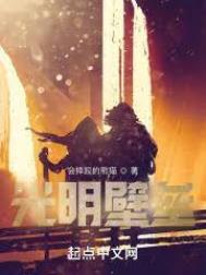 《光明壁壘》封面