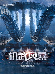 《機武風暴》封面