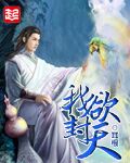 《我欲封天》封面