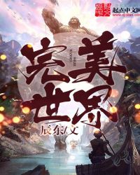 《完美世界》封面