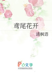 《鳶尾花開》封面