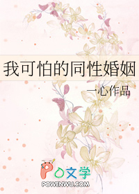 《我可怕的同性婚姻》封面