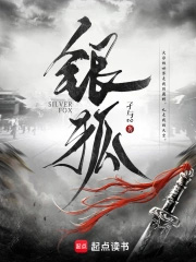 《銀狐》封面