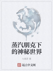 《蒸汽朋克下的神秘世界》封面