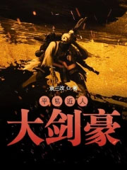 《平易近人大劍豪》封面