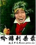 《吟遊刺殺錄》封面