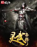 《靈武爭鋒》封面