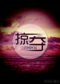 《掠奪》封面