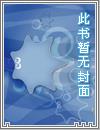 《神鵰俠侶續集》封面