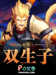 《龍珠之雙生子》封面