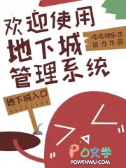 《歡迎使用地下城管理系統》封面