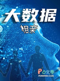 《大數據相親》封面