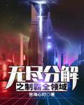 《無盡分解之制霸全領域》封面