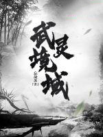 《武靈境域》封面