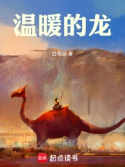 《温暖的龍》封面