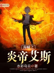 《海賊之炎帝艾斯》封面