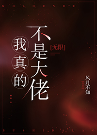 《我真的不是大佬[無限]》封面