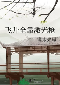 《飛昇全靠激光槍》封面