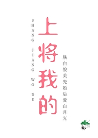 《上將，我的》封面