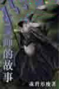 《追憶魔法導師的故事》封面