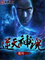 《逆天神魂》封面