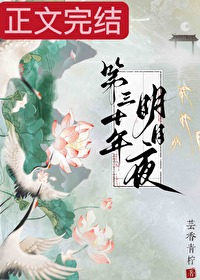 《第三十年明月夜》封面