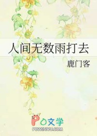 《人間無數雨打去》封面