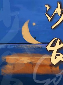 《沙發》封面