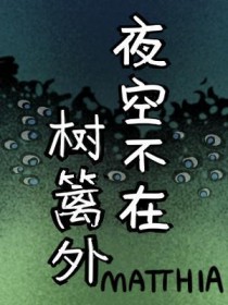 《夜空不在樹籬外》封面