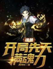 《魂獸：開局先天滿魂力》封面