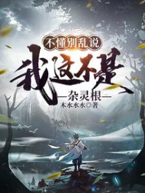 《不懂別亂説，我這不是雜靈根》封面