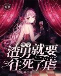 《快穿：渣男就要往死了虐》封面