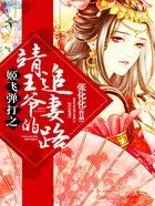 《姬飛彈打之靖王爺的追妻路》封面