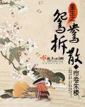 《重生之鴛鴦拆散》封面