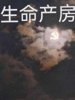 《生命產房》封面