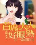 《一念情深，首席大人好眼熟》封面