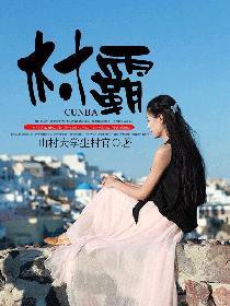 《村霸》封面