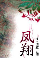 《鳳翔》封面