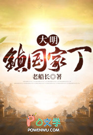 《大明鎮國家丁》封面