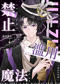 《禁止濫用魔法》封面