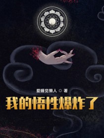 《我的悟性爆炸了》封面