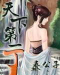 《天下第一丁》封面