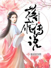 《落雁傳説》封面