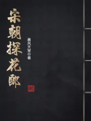 《宋朝探花郎》封面