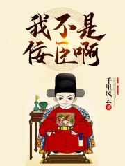 《我不是佞臣啊》封面
