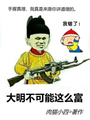 《大明不可能這麼富》封面