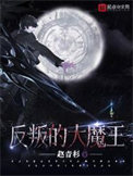 《反叛的大魔王》封面
